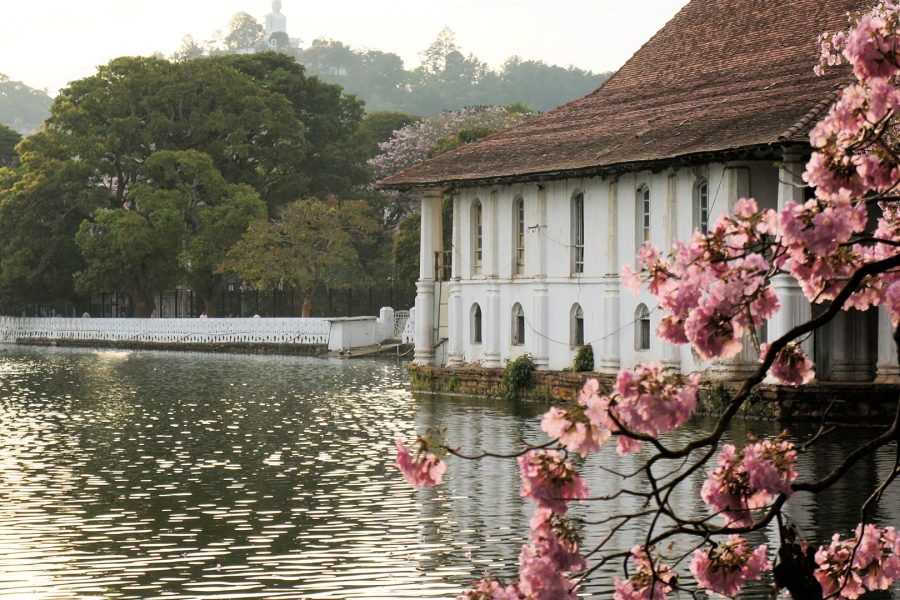 3 Days Sri Lanka (Colombo, Bentota)