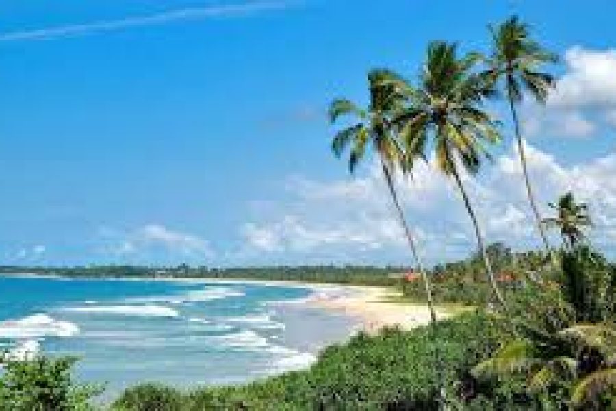 5 Days Sri Lanka (Kandy, Bentota, Colombo)